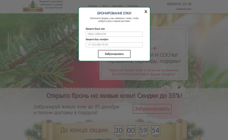 Всплывающее окно бронирования ёлки